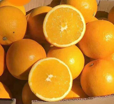 赣南脐橙专卖
